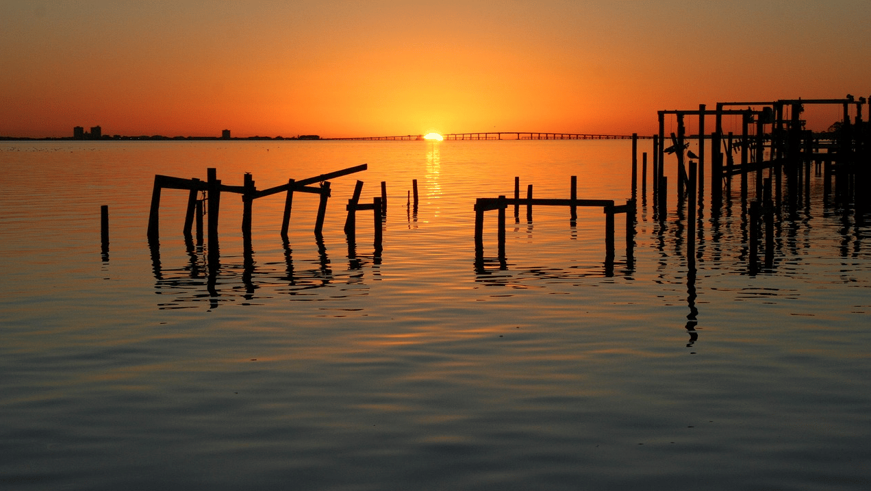 Things to Do, Getting Active, and Pets.