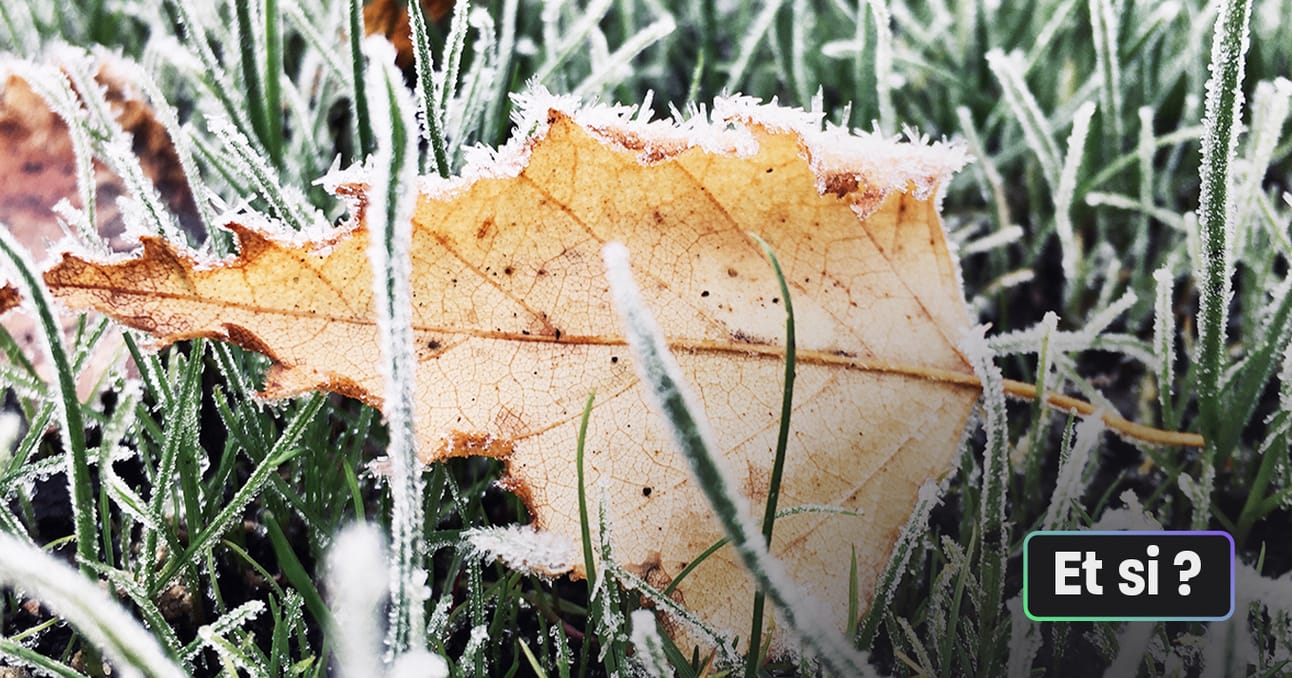 Et si on se mettait au régime sans attendre demain ?