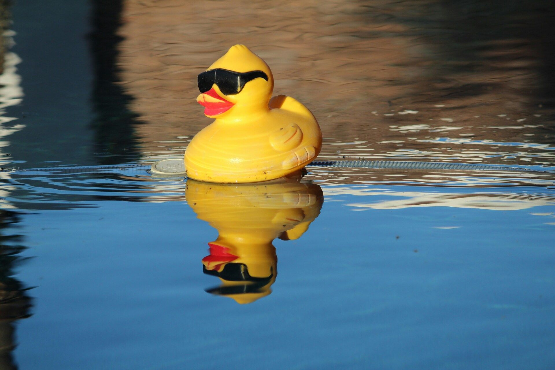 The Rubber Duck Effect: Why Explaining Out Loud Makes You Smarter