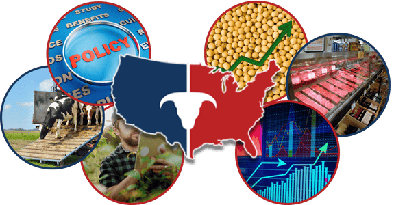 Adventuring through the Canadian Rockies