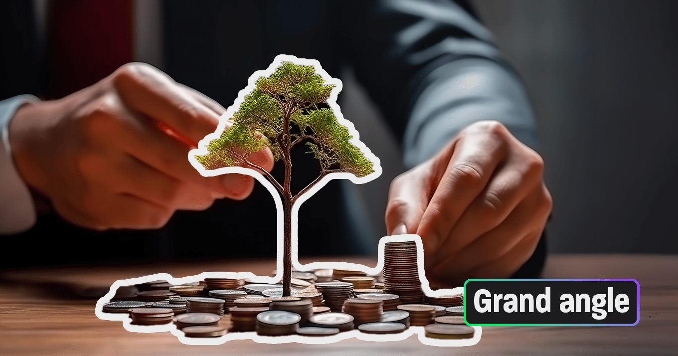 Investir dans la forêt pour la protéger : bon plan ?