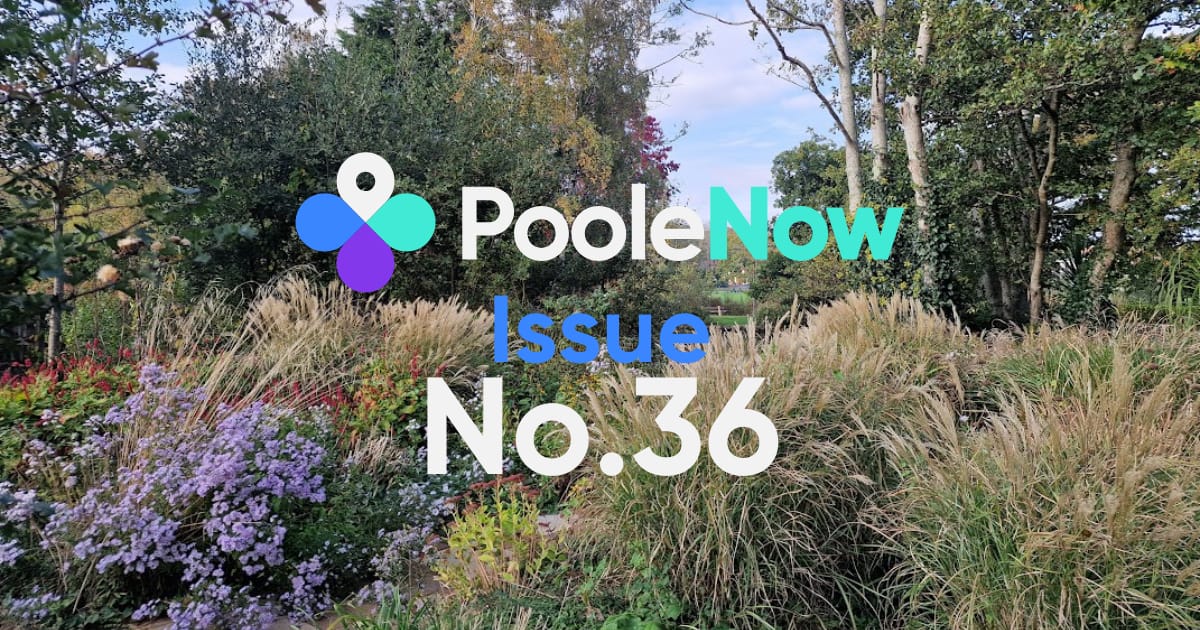 🌊Issue No.36: The wooden animals are back! Plus, Poole’s new skatepark & more