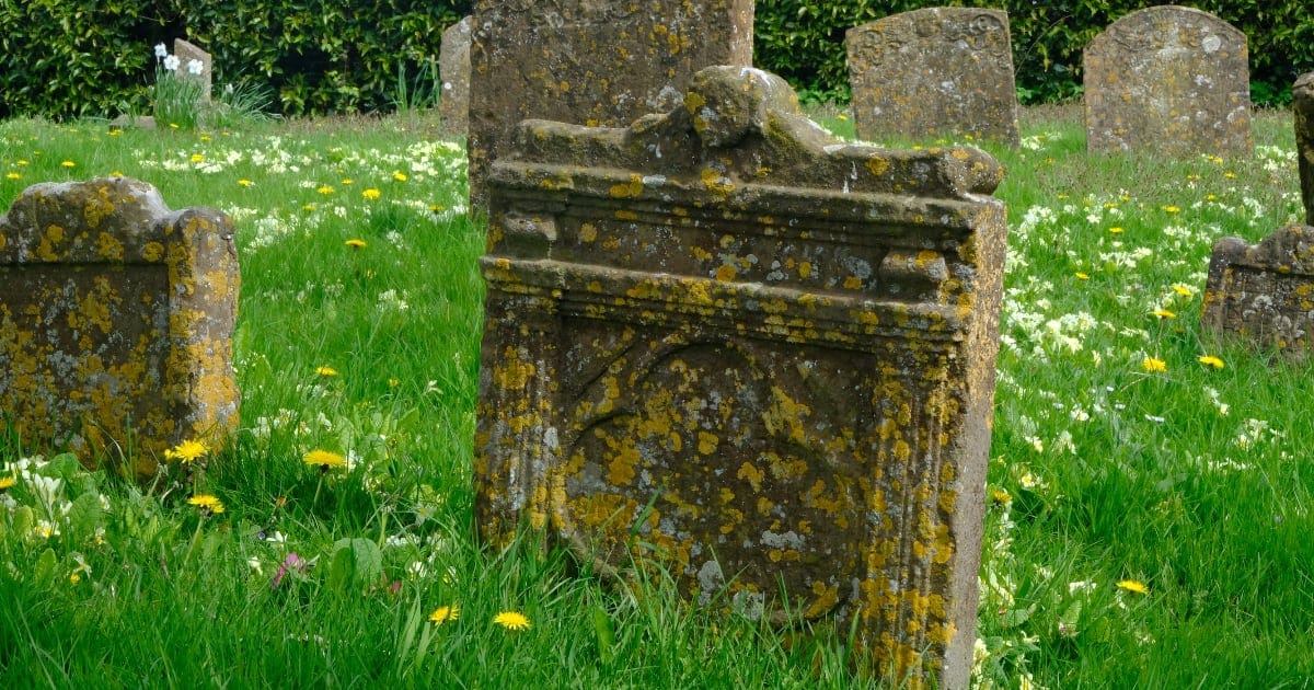 RIP to these 2026 car models