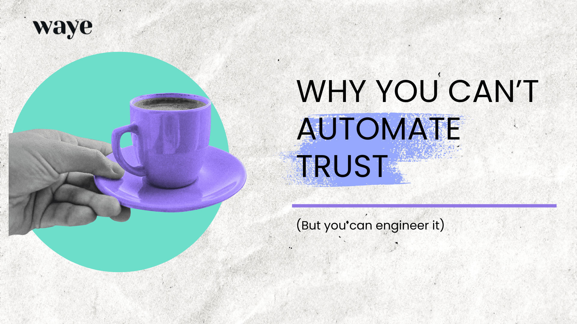 Adventuring through the Canadian Rockies