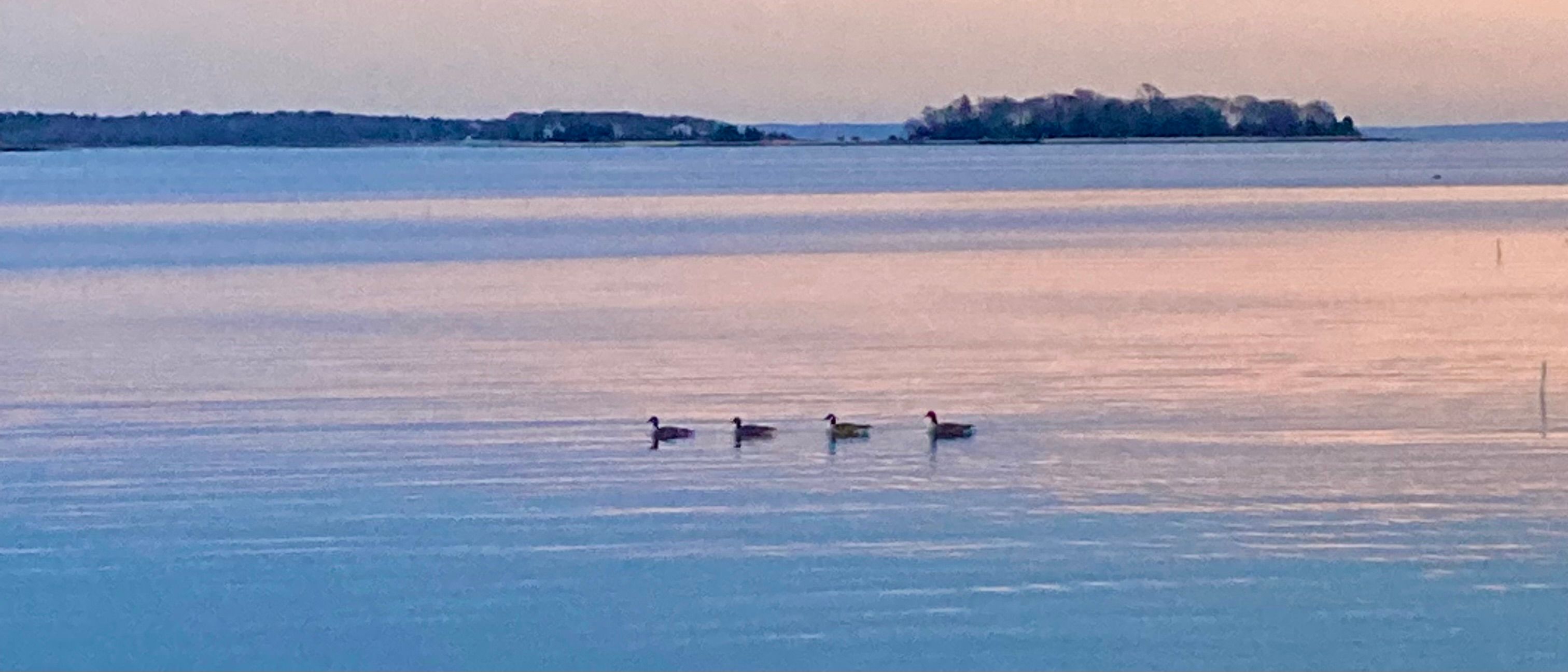 Your Heart is a Harbor