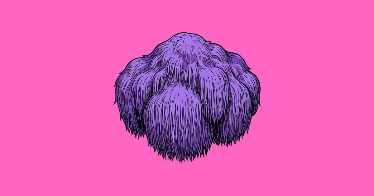 Adaptógenos – Melena de León (Hericium erinaceus)