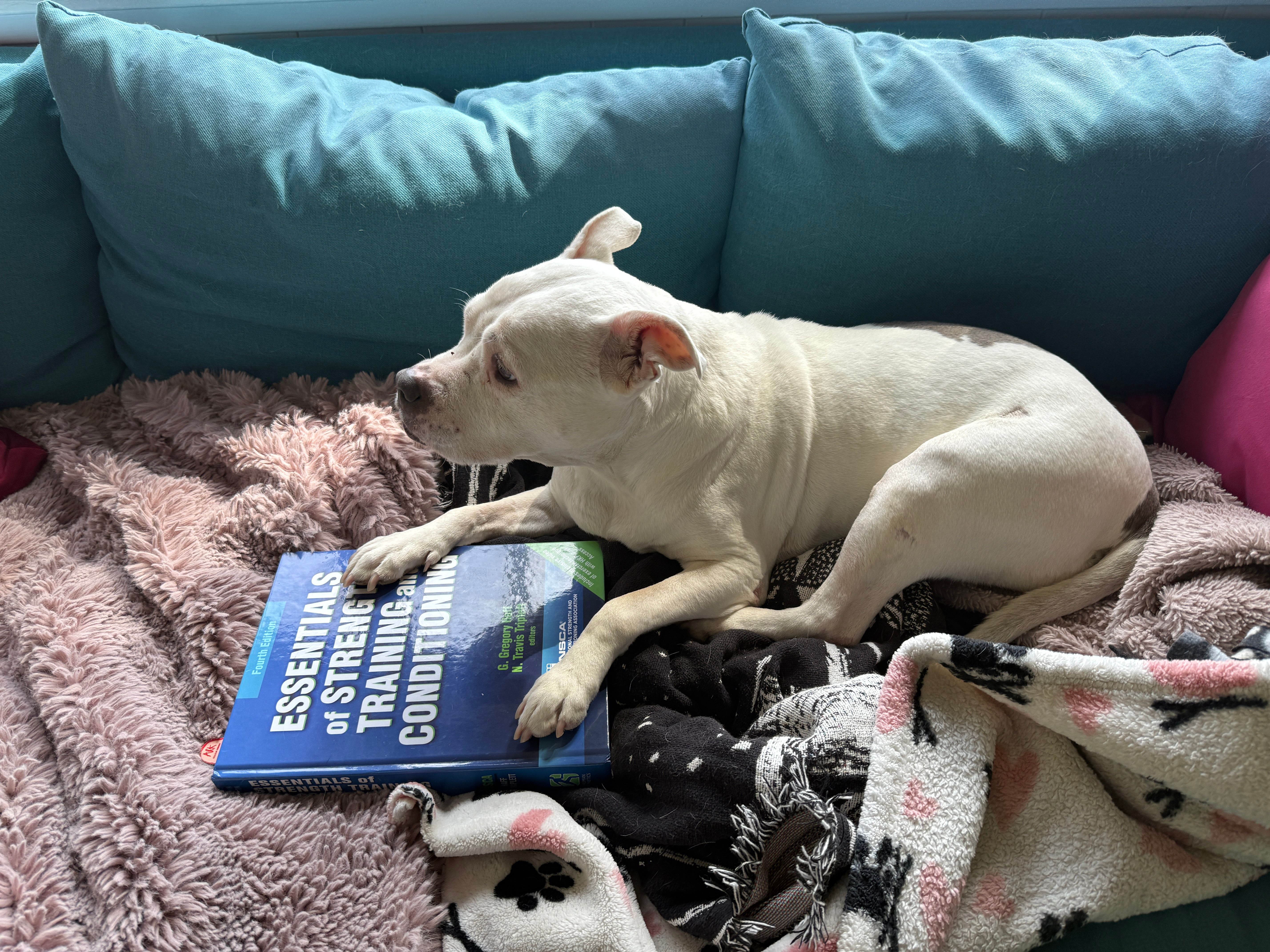 What drives training when high performance isn't the goal?