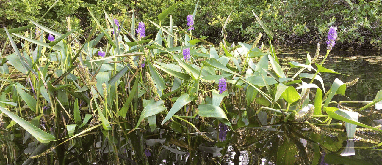 Adventuring through the Canadian Rockies