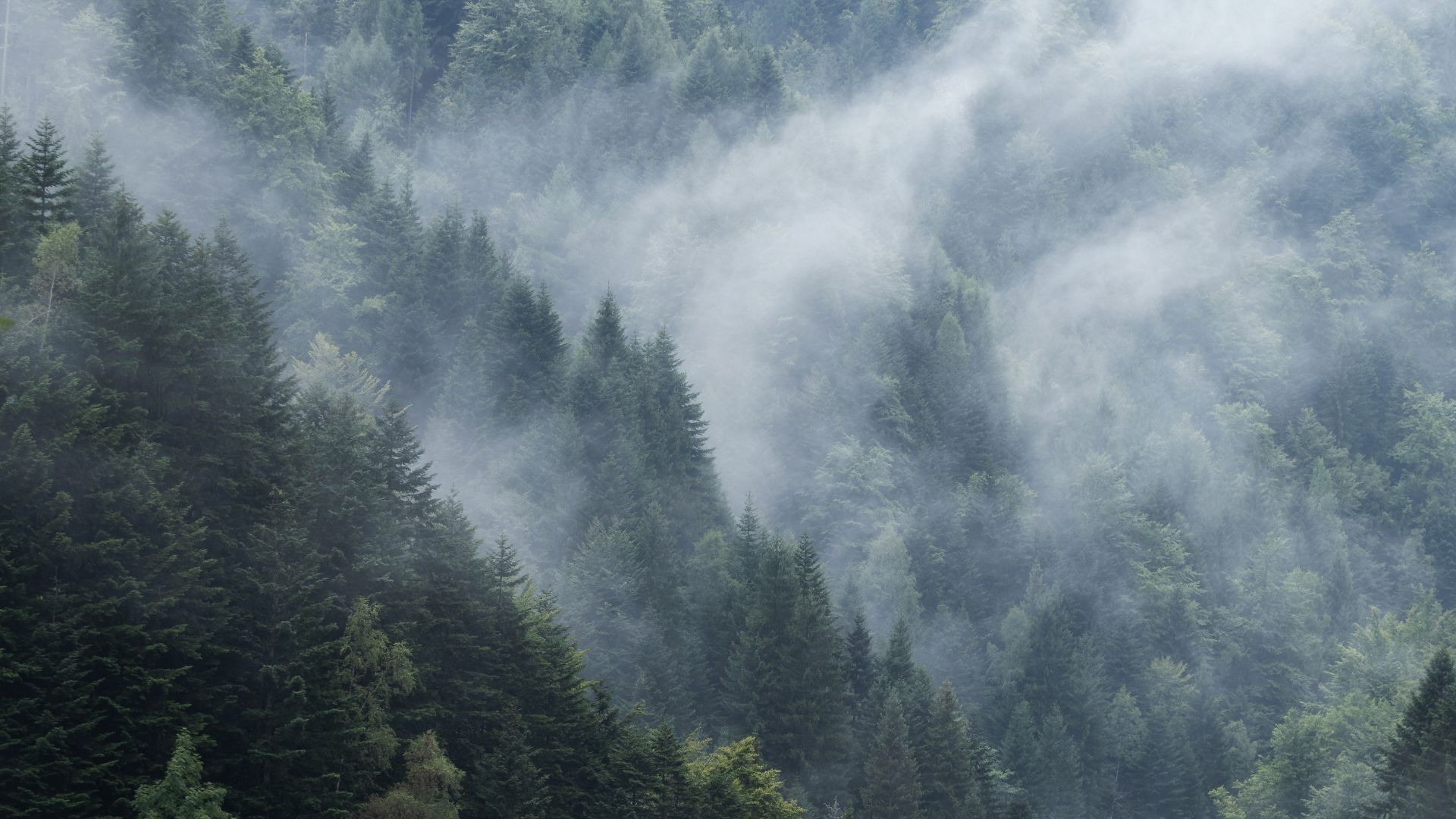 Adventuring through the Canadian Rockies