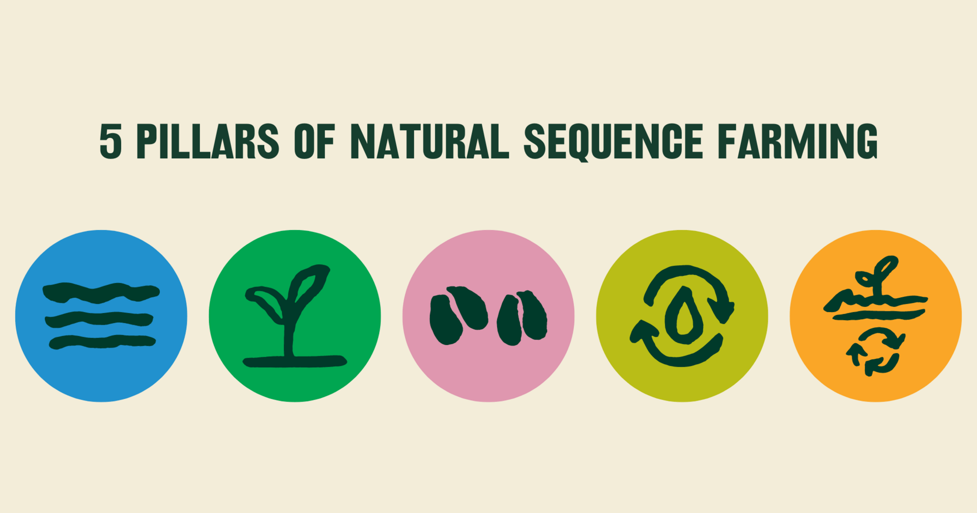 Adventuring through the Canadian Rockies