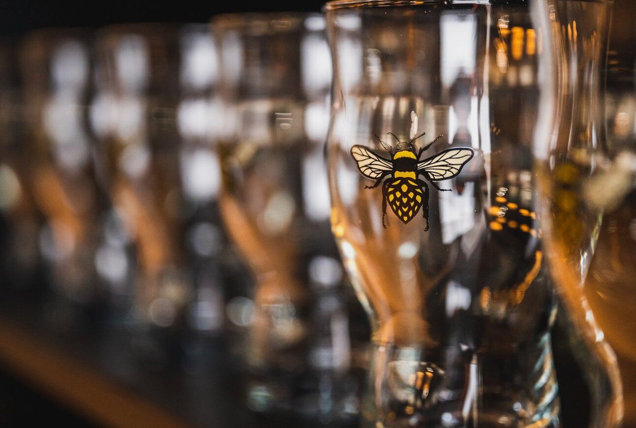 Western Colorado's Local Breweries: A Craft Beer Journey Across the Region