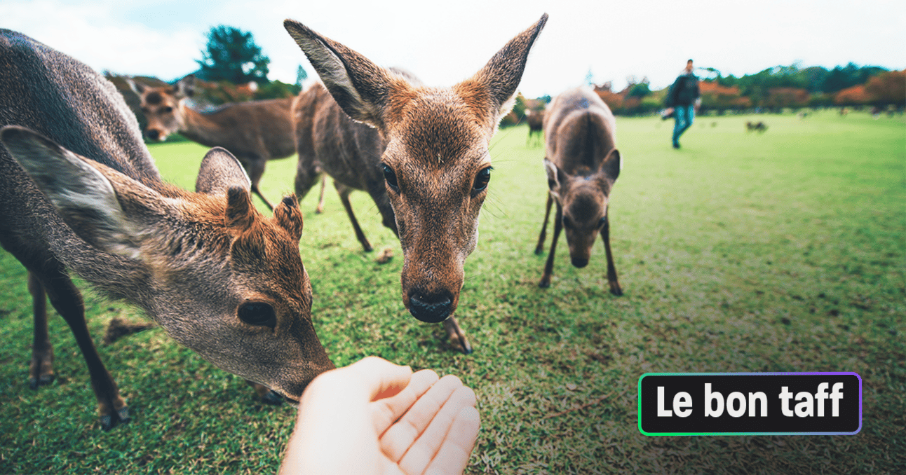 Autoconsommation, conservation de la faune... Les 4 offres d’emploi de la semaine à ne pas manquer