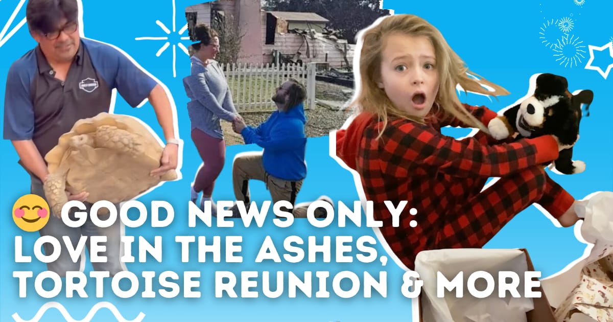 Adventuring through the Canadian Rockies