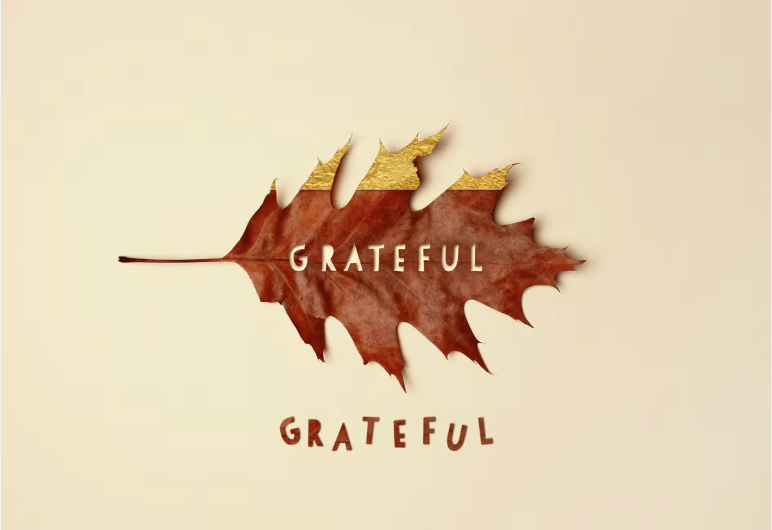 Adventuring through the Canadian Rockies