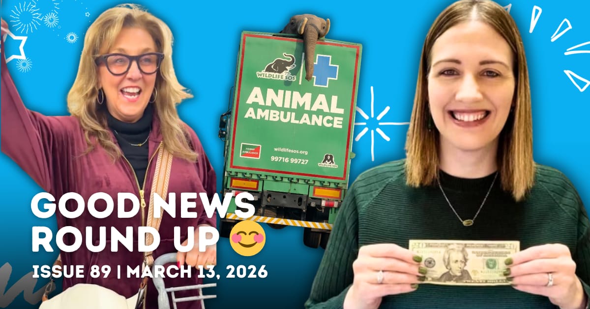 $20 kindness challenge 💛