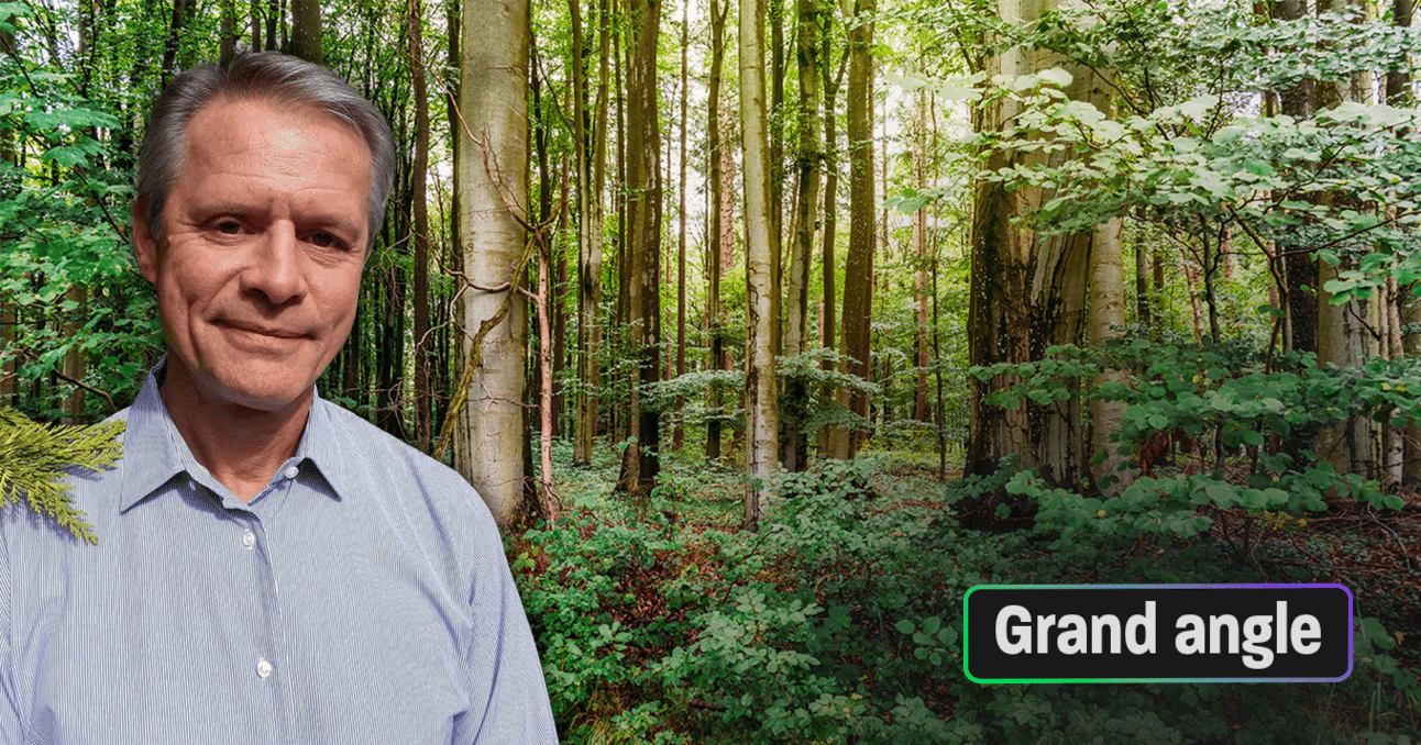 Comment adapter nos forêts au réchauffement climatique