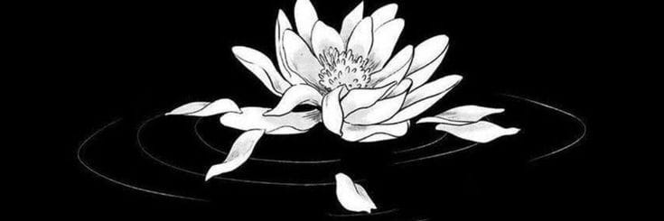 Adventuring through the Canadian Rockies