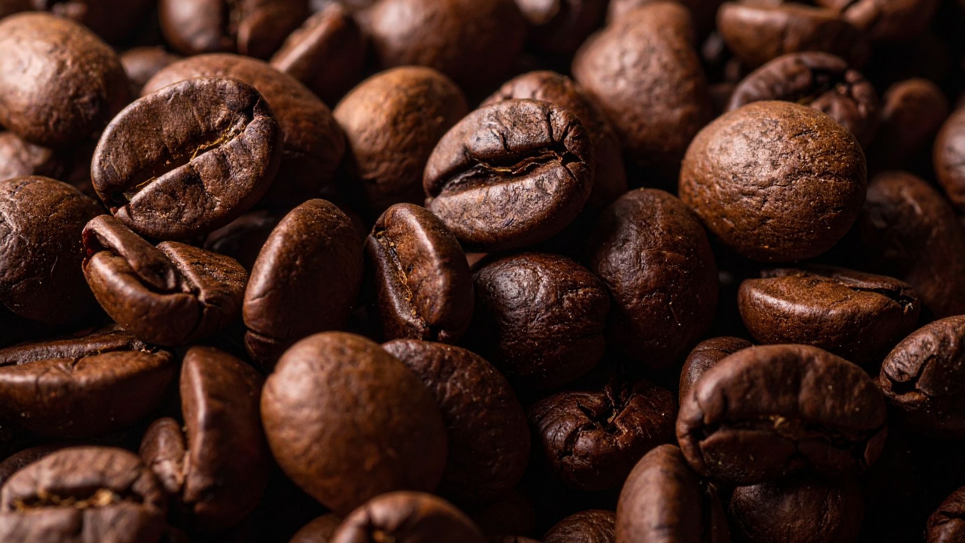 Kaffee, Koffein und Longevity: worauf es wirklich ankommt