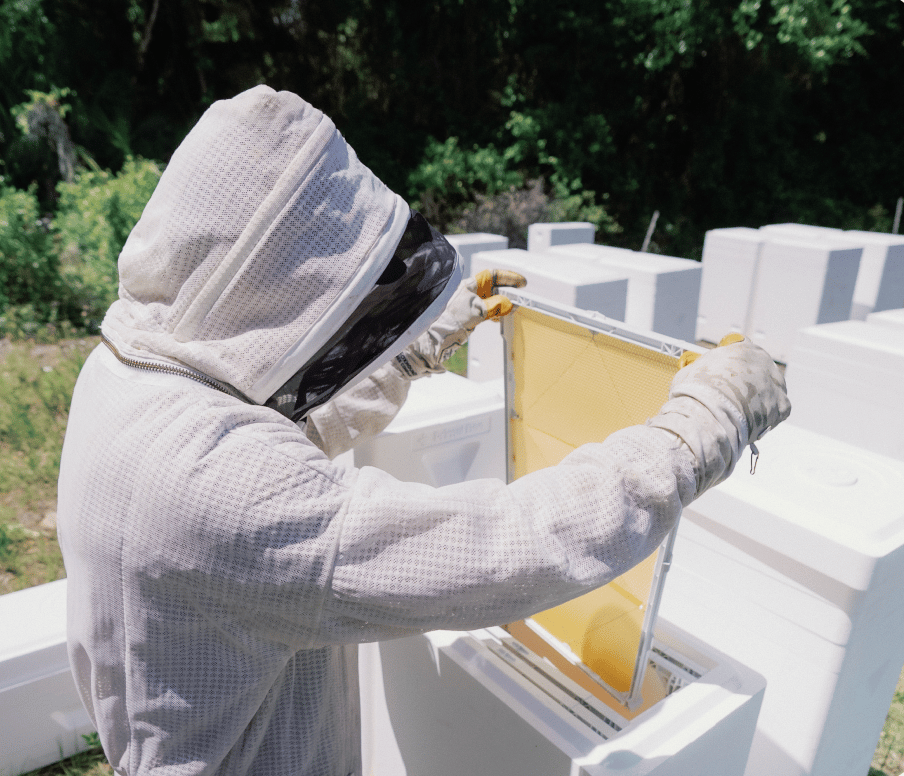 Adventuring through the Canadian Rockies