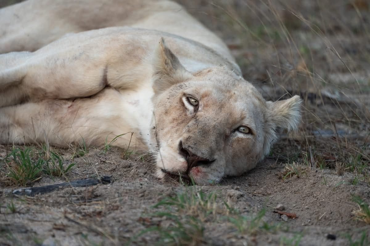 Adventuring through the Canadian Rockies