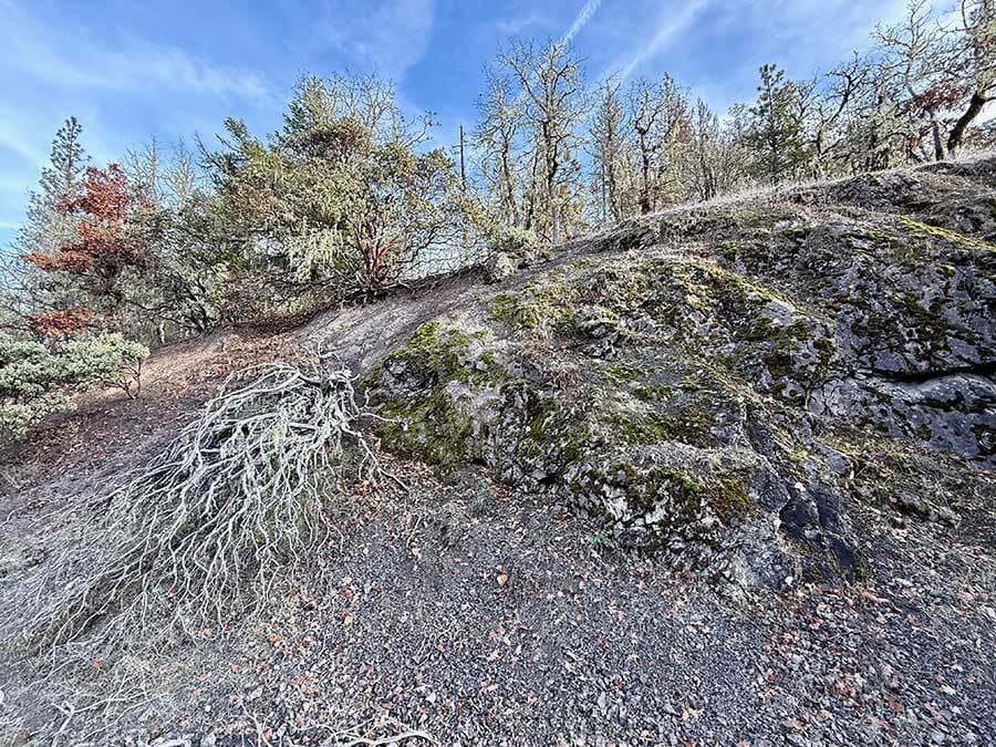 No Show This Week; Thoughts On Darkness