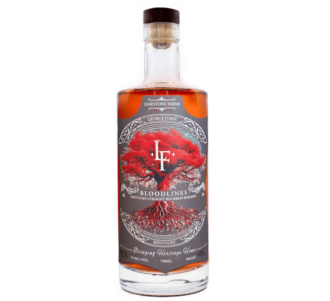 Adventuring through the Canadian Rockies