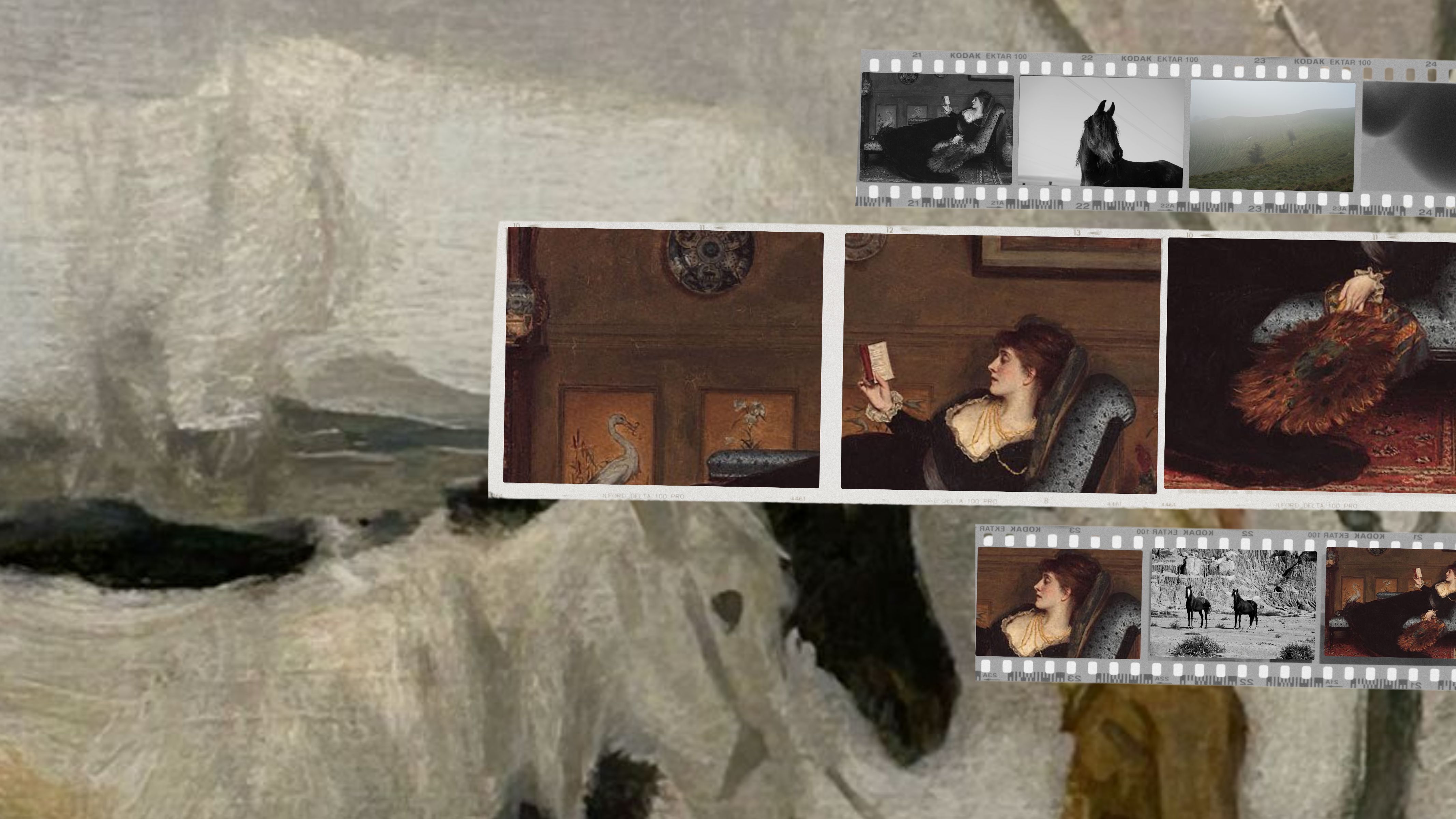 The Eastern European Horse Can Wait