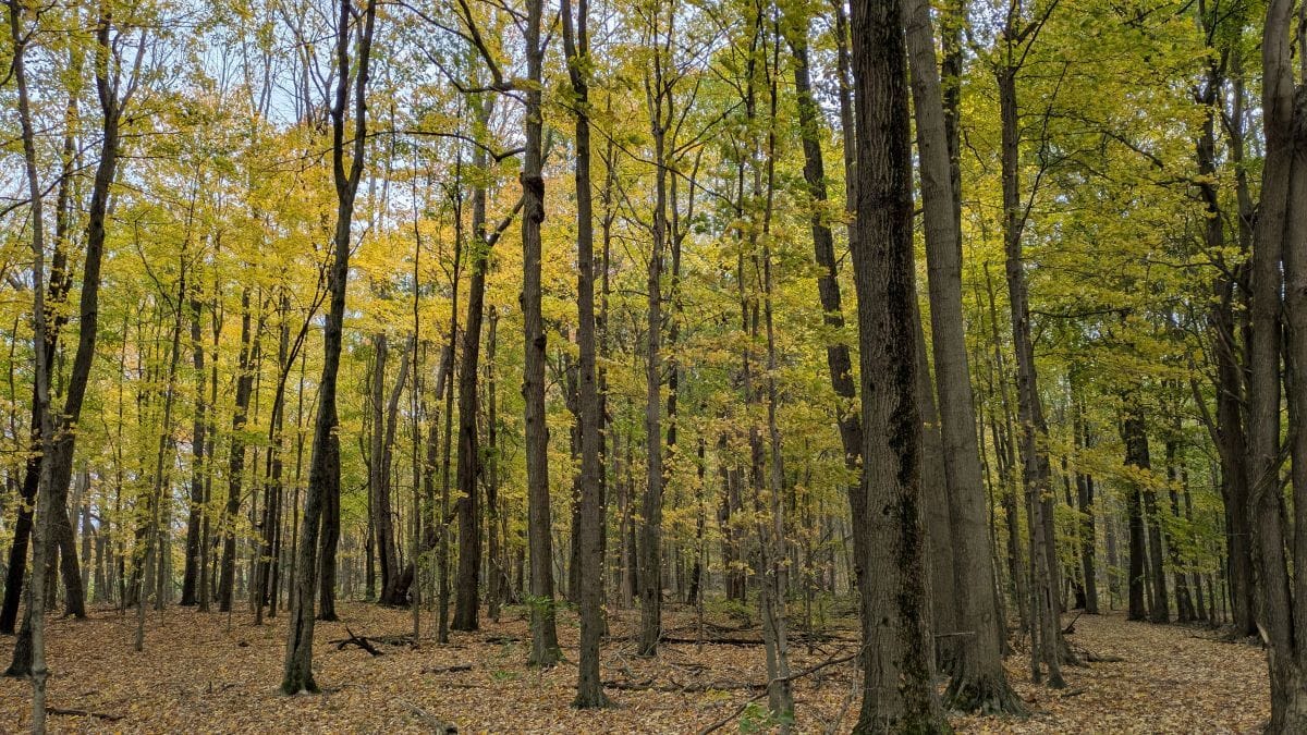 Adventuring through the Canadian Rockies