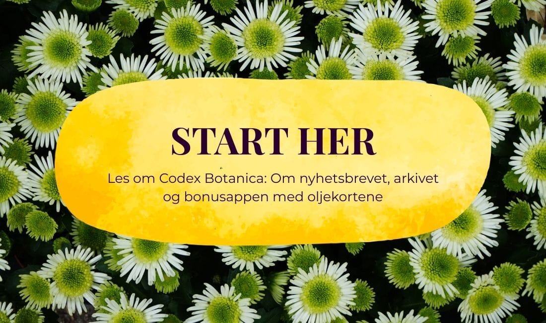 Start her: Om Codex Botanica