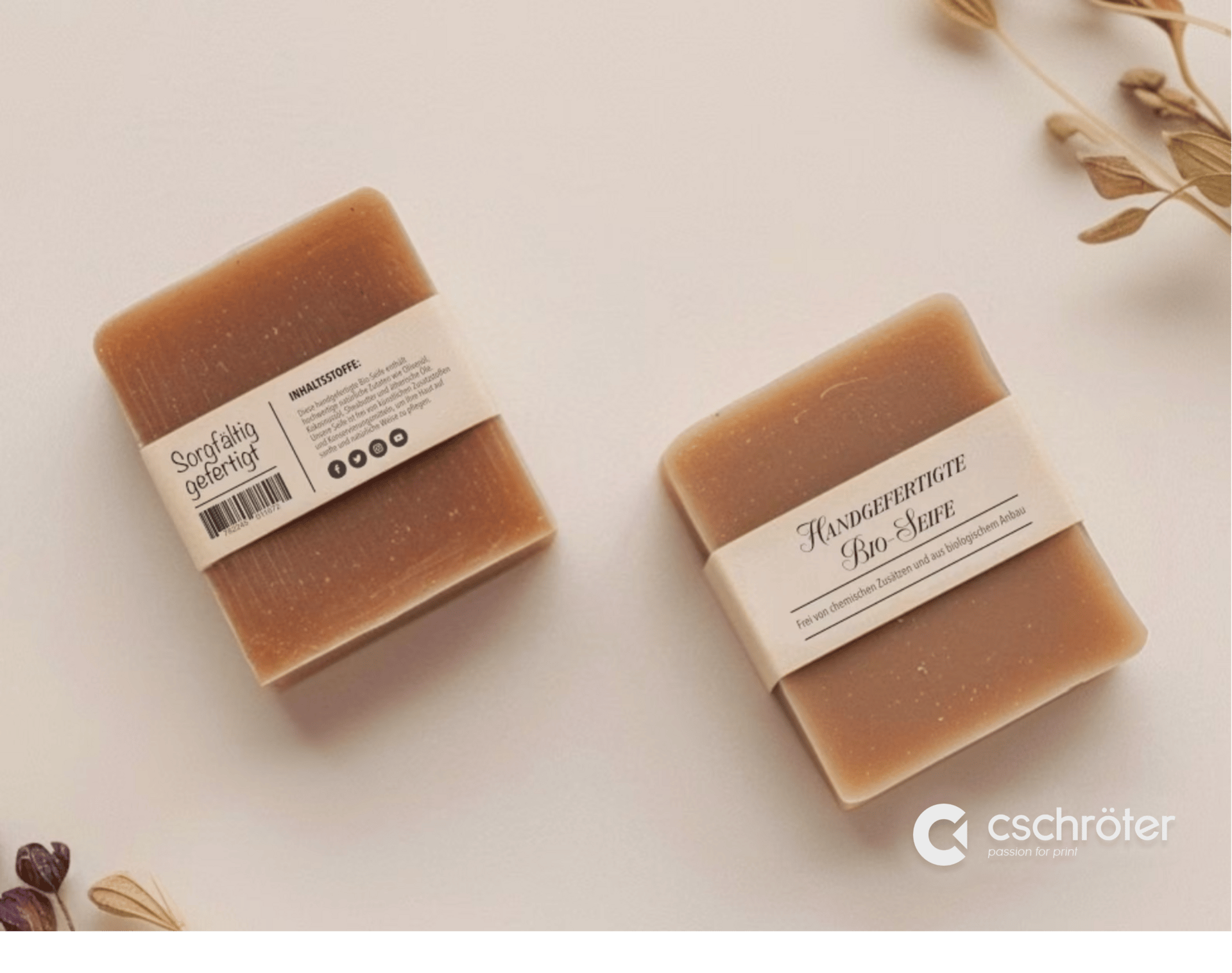 Adventuring through the Canadian Rockies