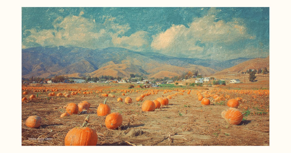 Sip, paint & create: This week's top 5 picks