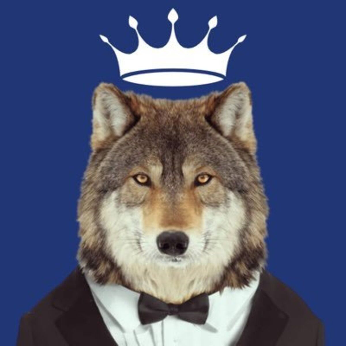 Alex Paz | Made In Crypto