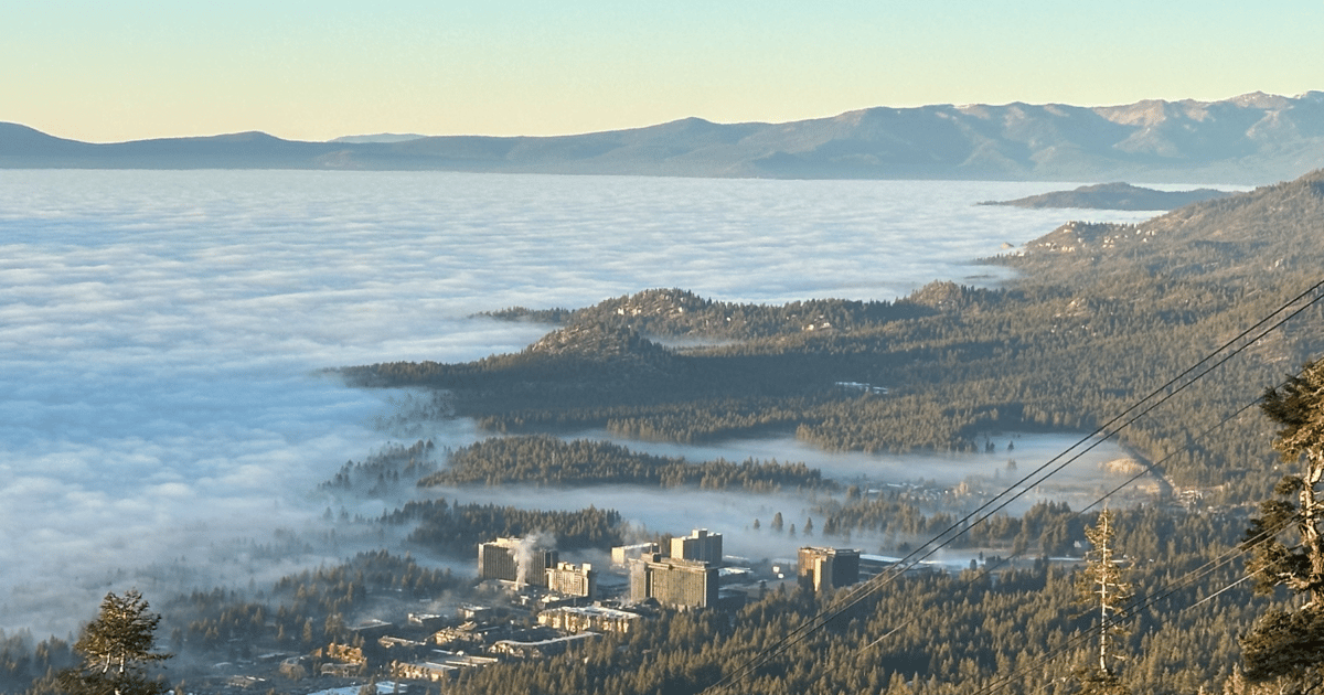 South Lake Scoop: Week of 12/22