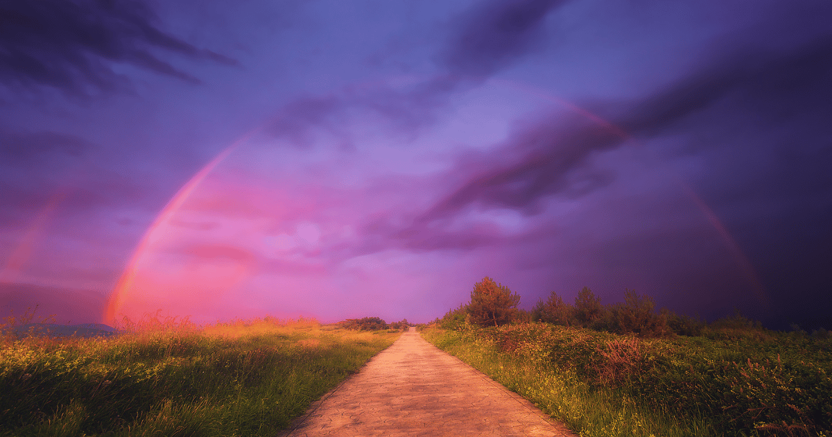 The Better Blueprint 