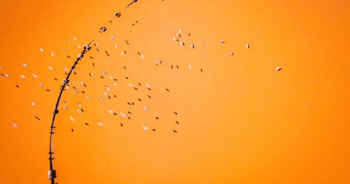 Three Take Aways From Building a Community From Scratch