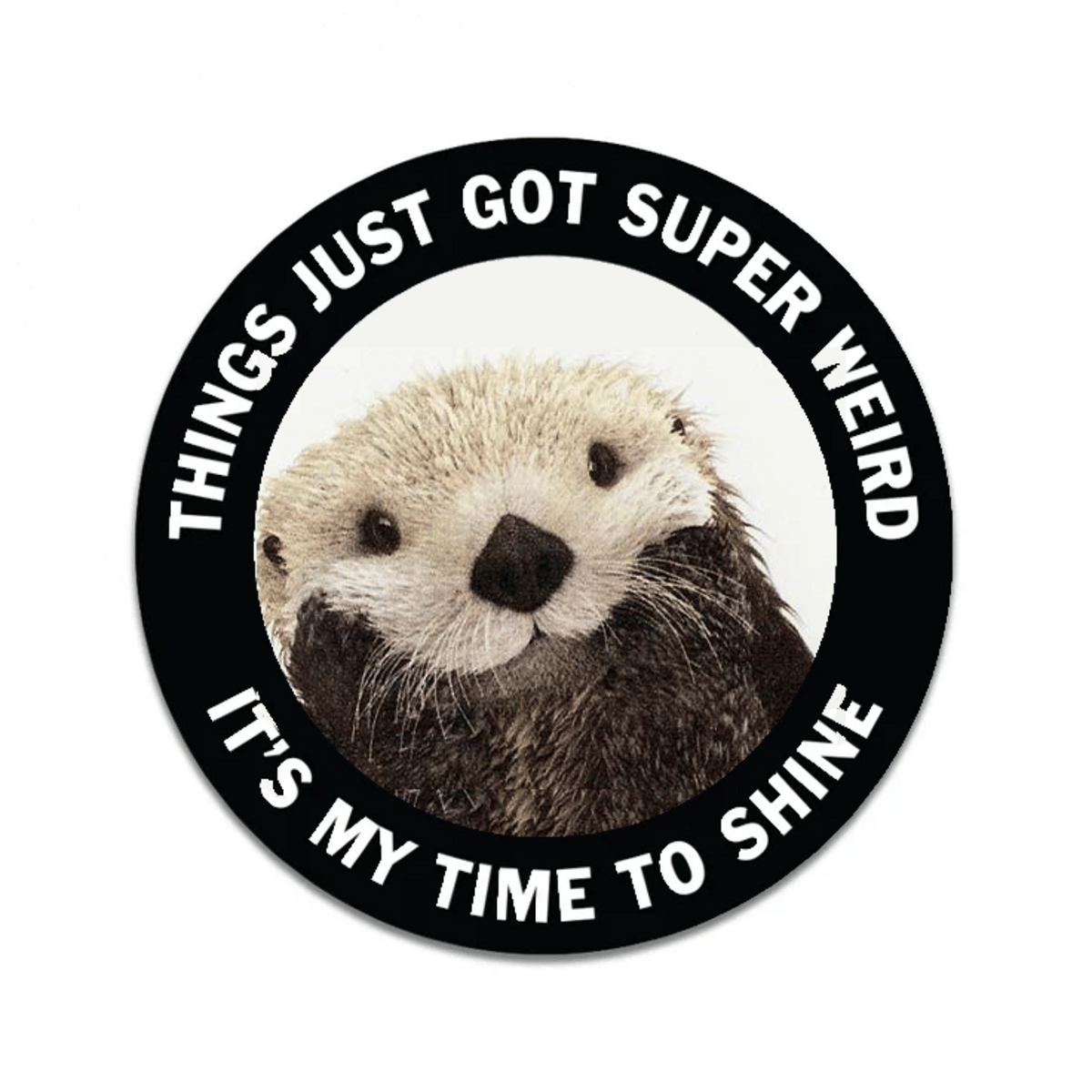 Problematic Otter