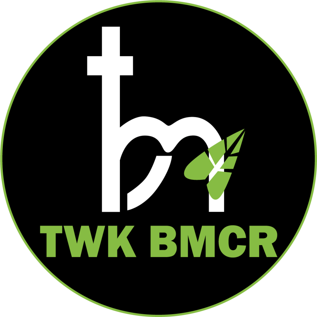 TWK BMCR