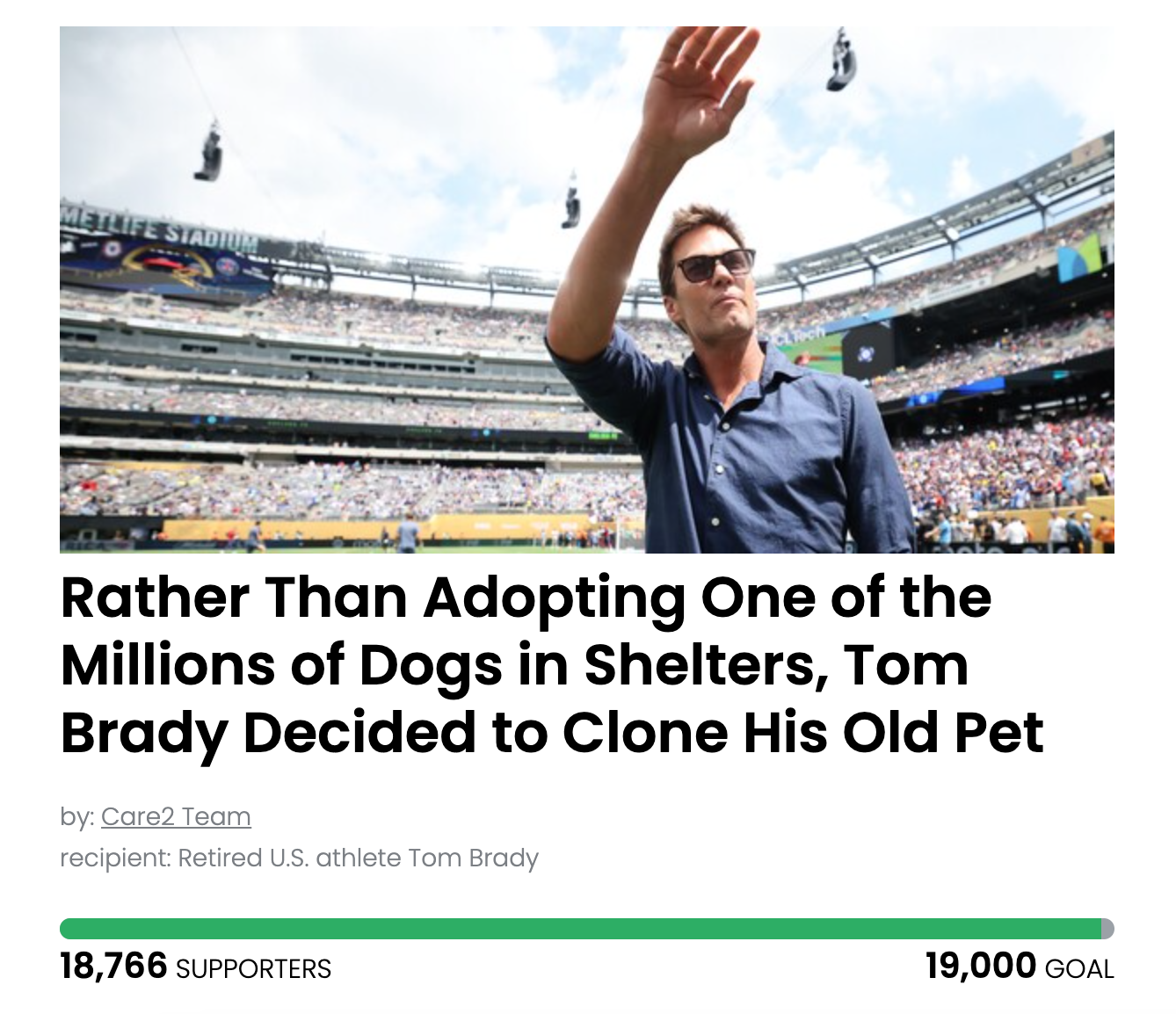 Animal Actions - Tell Tom Brady To Adopt Next Time