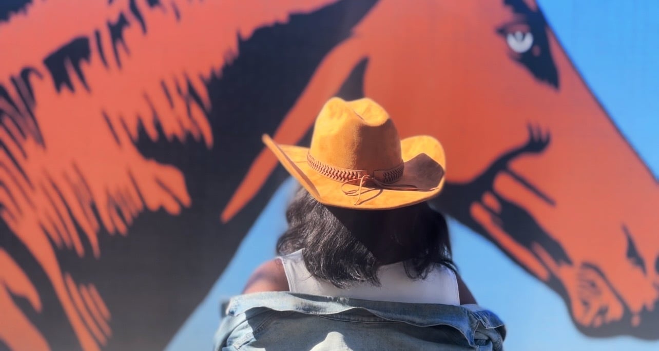 A case of the Whiskey Blues 