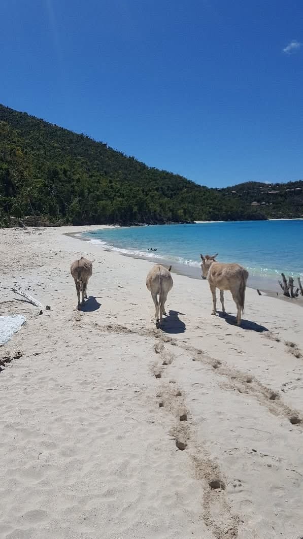 174 Americans Were Targeted Through Dating Apps and Social Media — The Federal Case That Should Make Every Crypto Investor Pay Attention