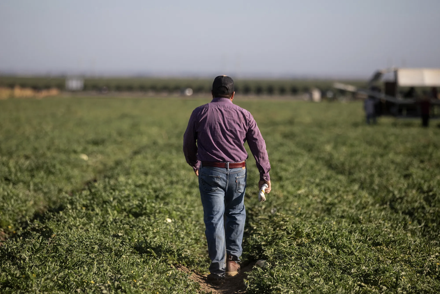 How Fear of Trump’s Immigration Blitz is Changing Life in CA Farm towns