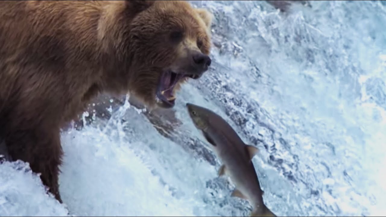Swimming up stream to the Enterprise