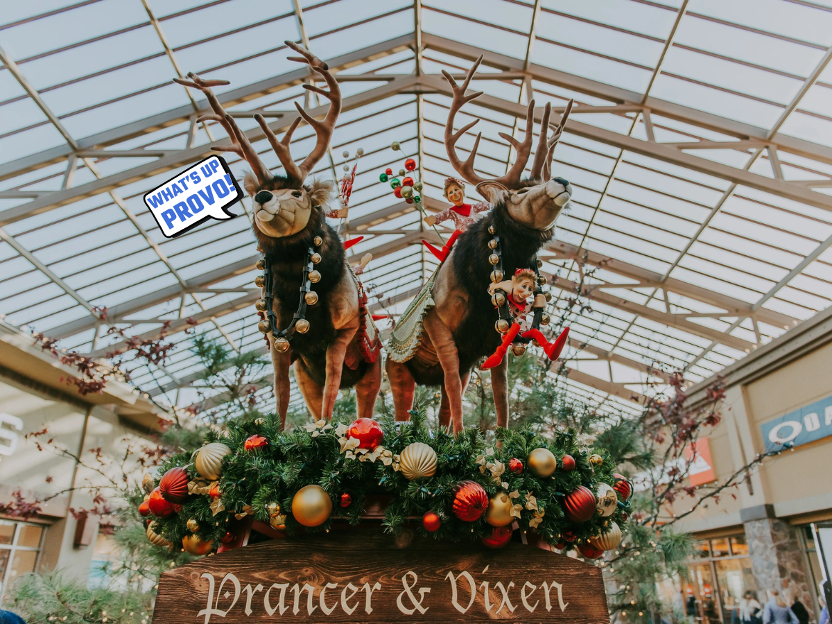 November 21, 2025 - Winter Market, Provo Snack Factory