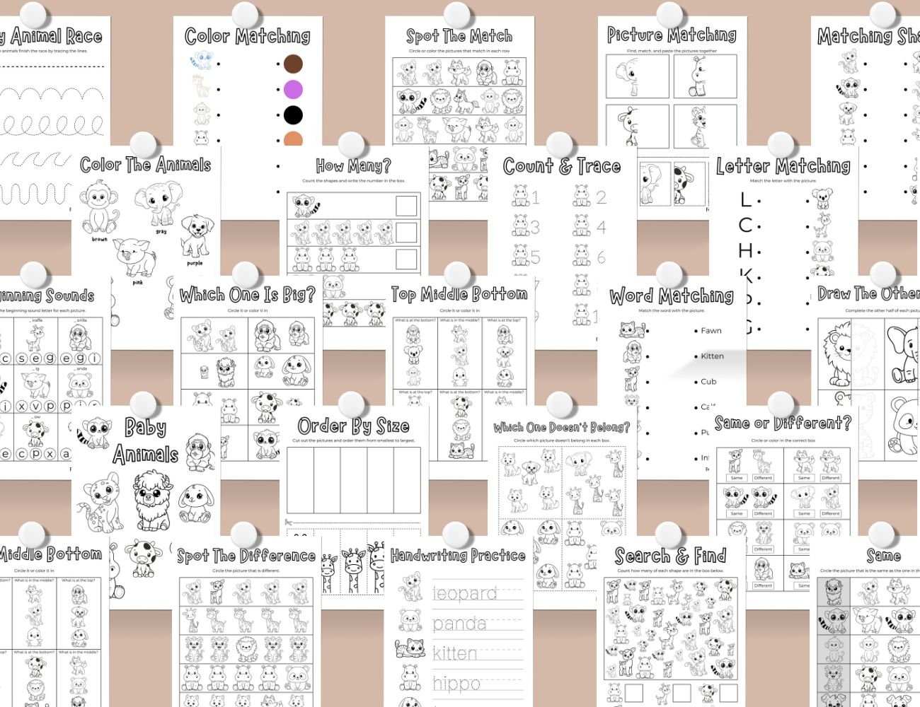 Baby Animals Workbook