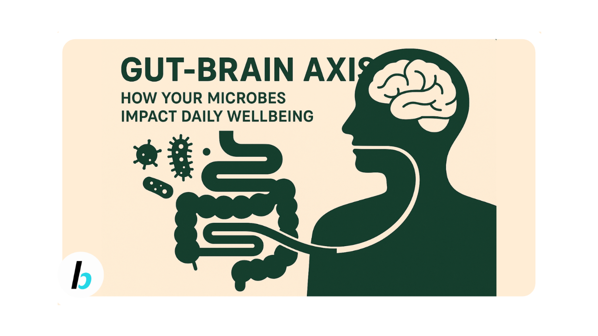 BusyBits #191: What Everybody Ought To Know About Your Gut