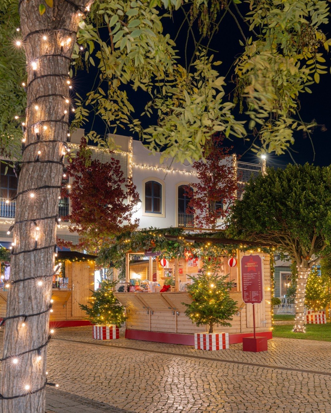 Nordic Christmas in Lisbon? Plus Ice Skating & Candlelight Concerts 🎅✨