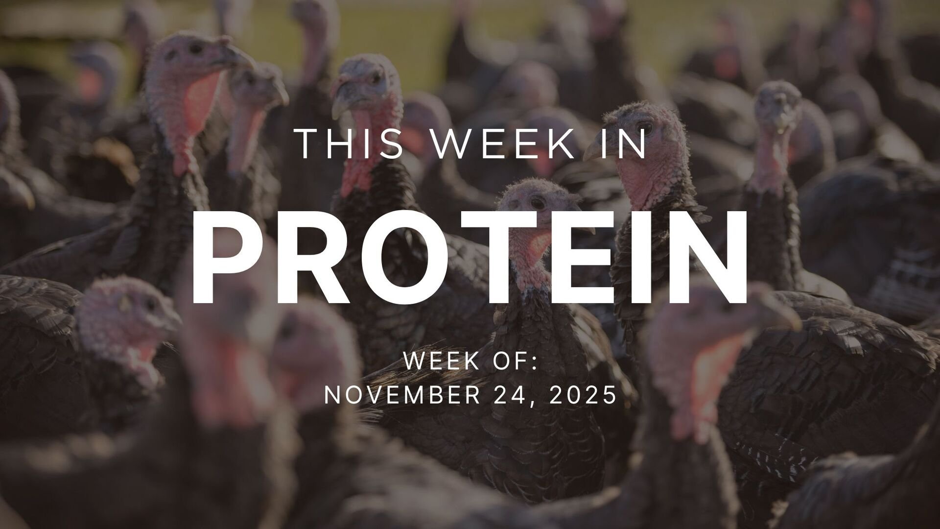Protein Signals - Week of November 24, 2025 