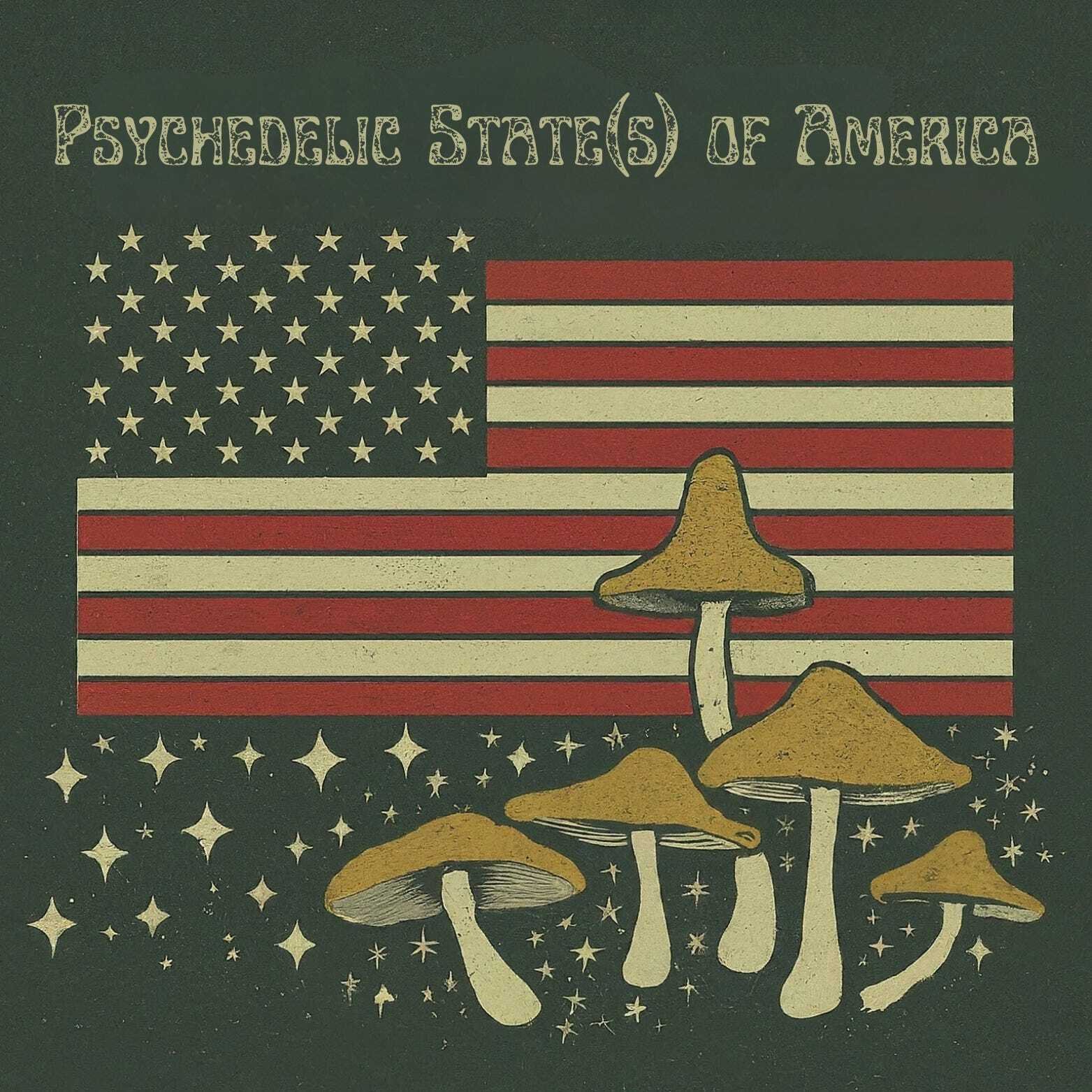 PSA Promo Alert: Psychedelic State(s) of America x Psychedelics Today Livestream Tomorrow 