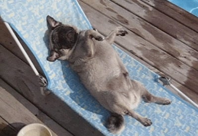 🕶️ Rivian’s Seat in the Sun