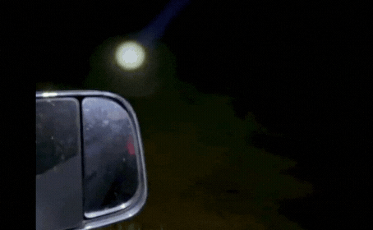 Headless Deer "Breadcrumbs" Lead Michigan DNR to Serial Roadside Poacher 